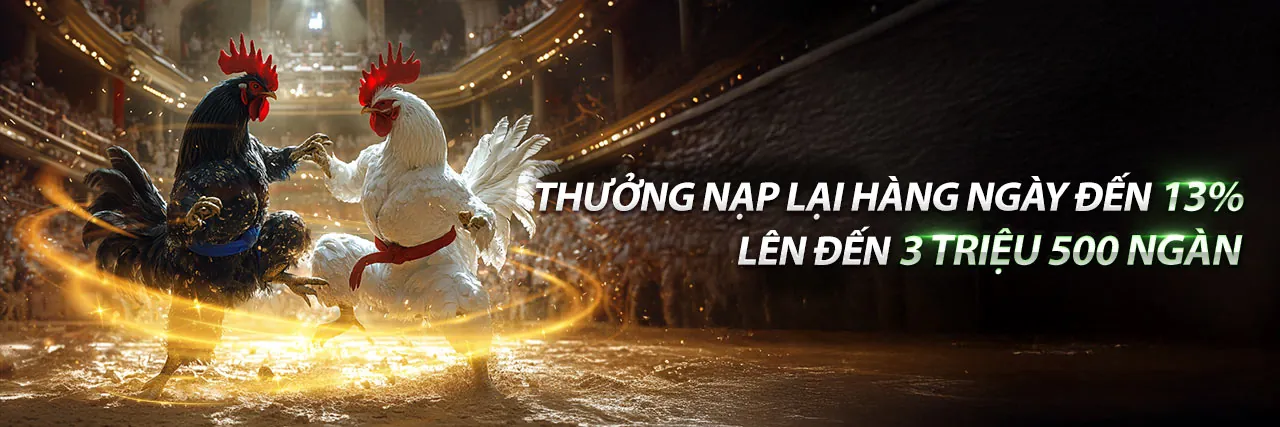 Sân chơi bắn cá 88i Liên Kết 2026