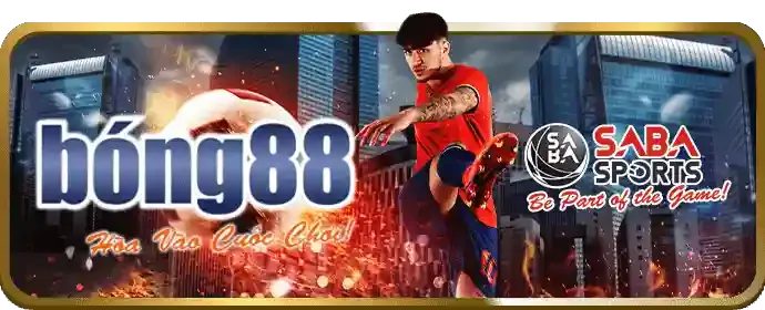 Cá cược đá gà trực tuyến với các trận đấu cam go từ 88i Link